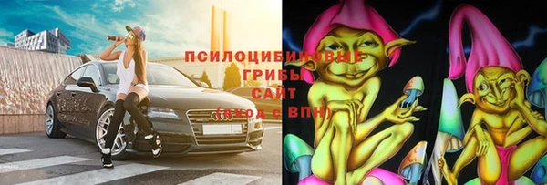 молекула духа Белокуриха