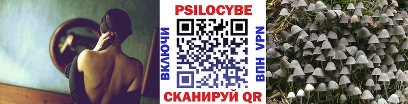 Псилоцибиновые грибы GOLDEN TEACHER  Краснотурьинск 
